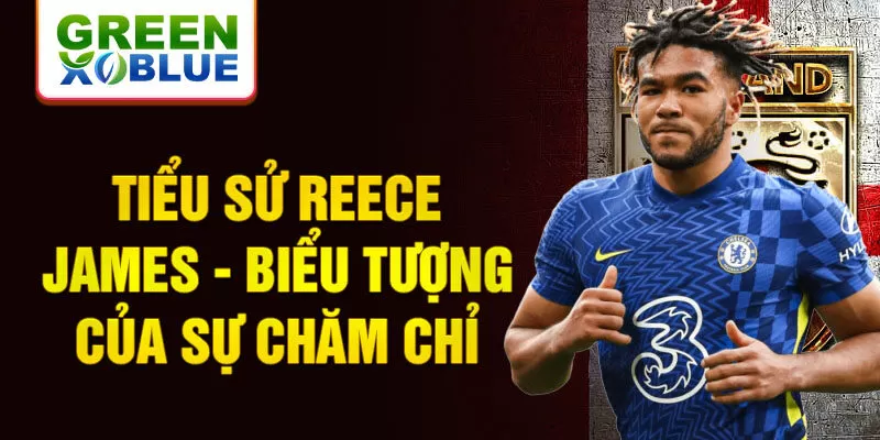 Tiểu sử Reece James - Biểu tượng của sự chăm chỉ